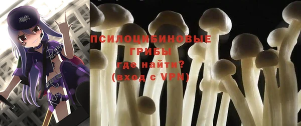 крисы Красноперекопск