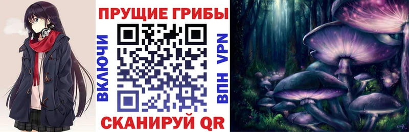 Псилоцибиновые грибы ЛСД  где купить наркотик  Севск 